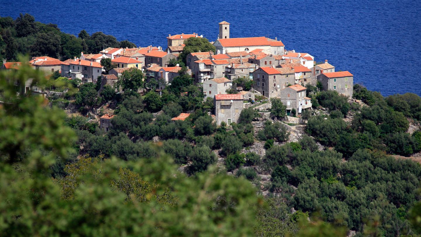 Kameno selo na brežuljku na Cresu, maslinici i hrast crnika na padini prema moru