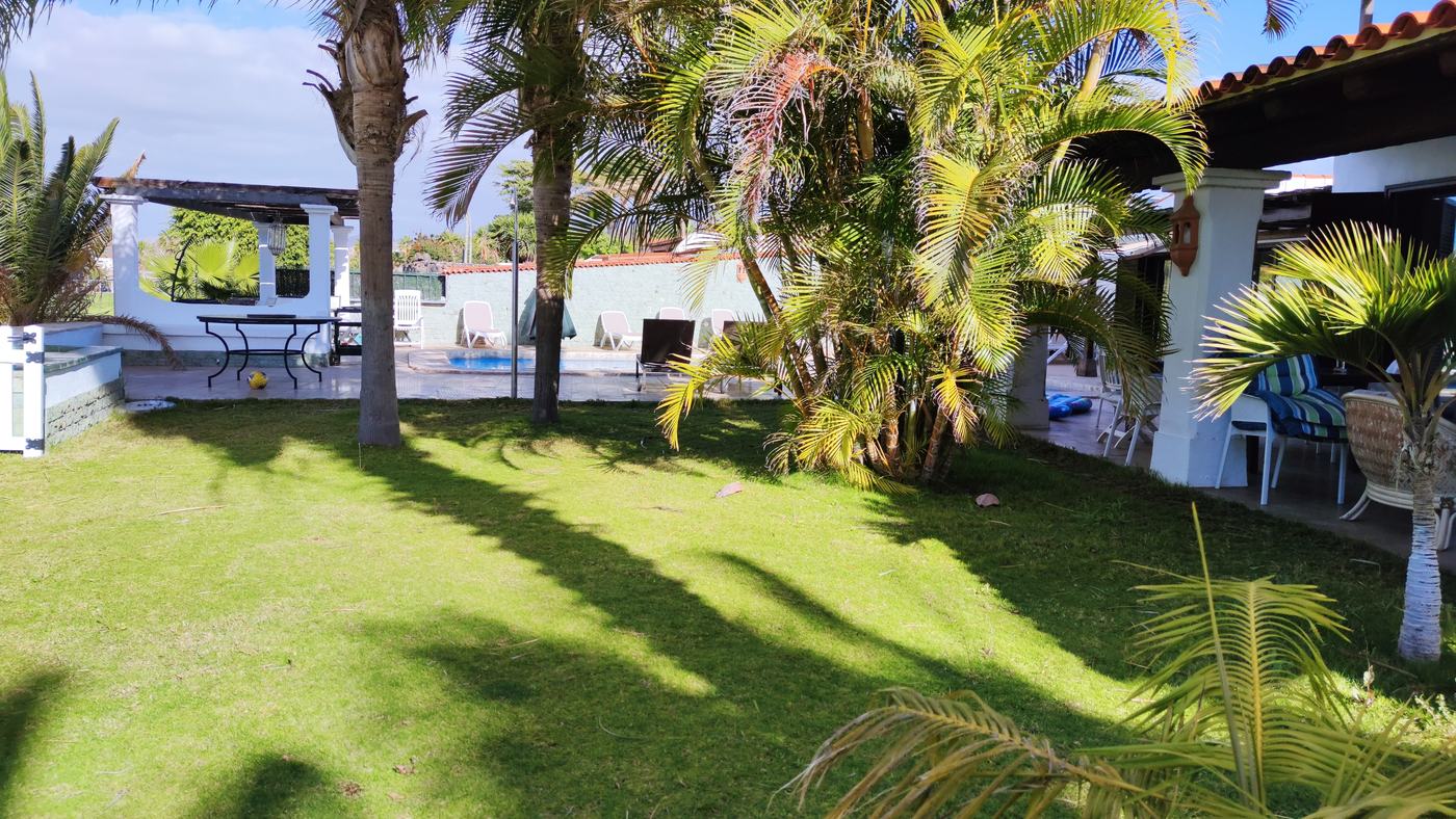 Gemähter Rasen unter Palmen neben Pool und überdachter Terrasse einer Villa an der Küste